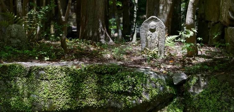 潜派旅行