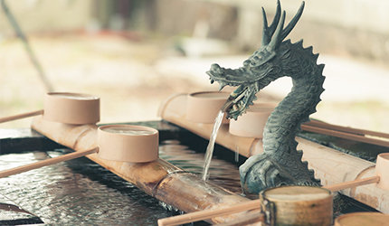 潜派旅行
