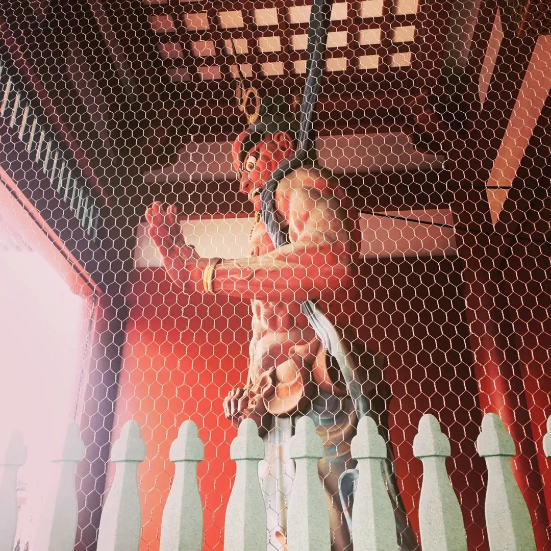 潜派旅行
