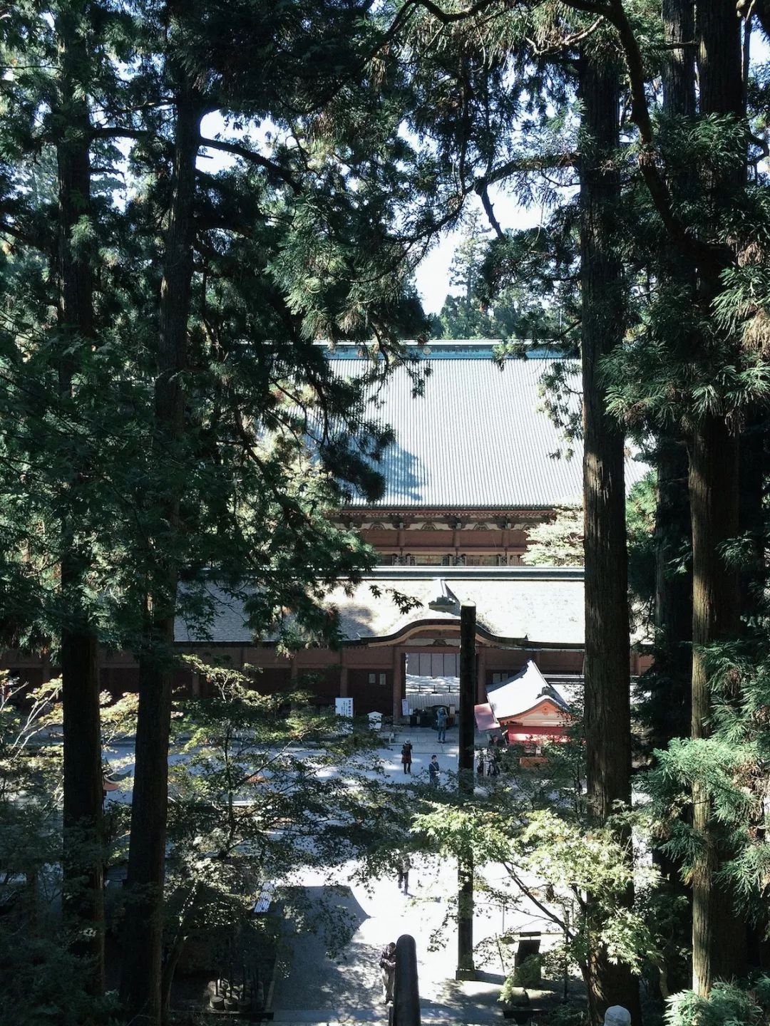 潜派旅行