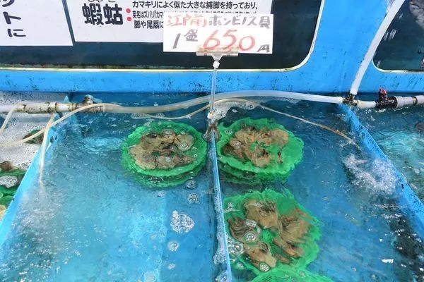 潜派旅行
