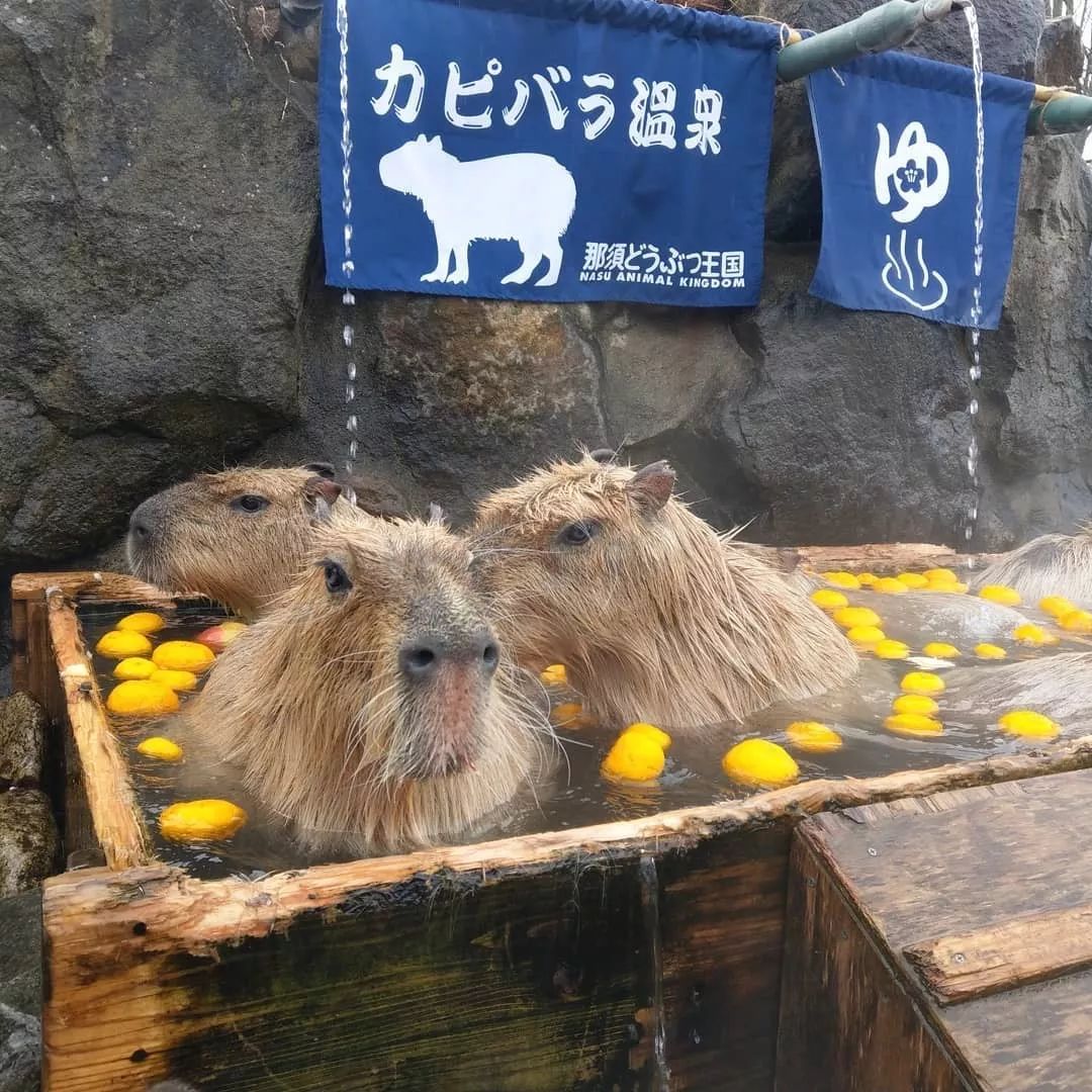 潜派旅行