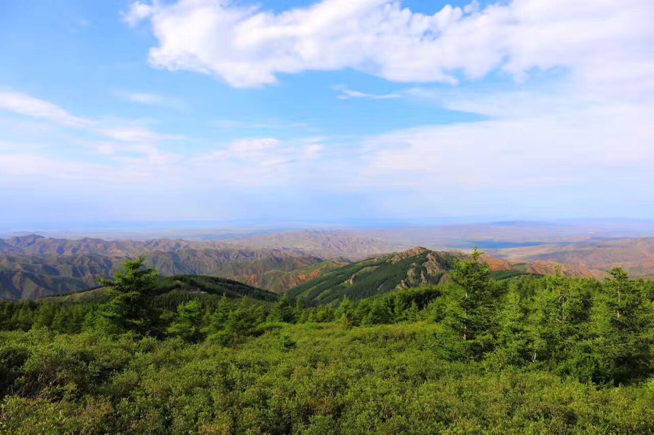 坐落在兴和县大南山深处的苏木山旅游区,以其险峻的山势,茂密 的森林