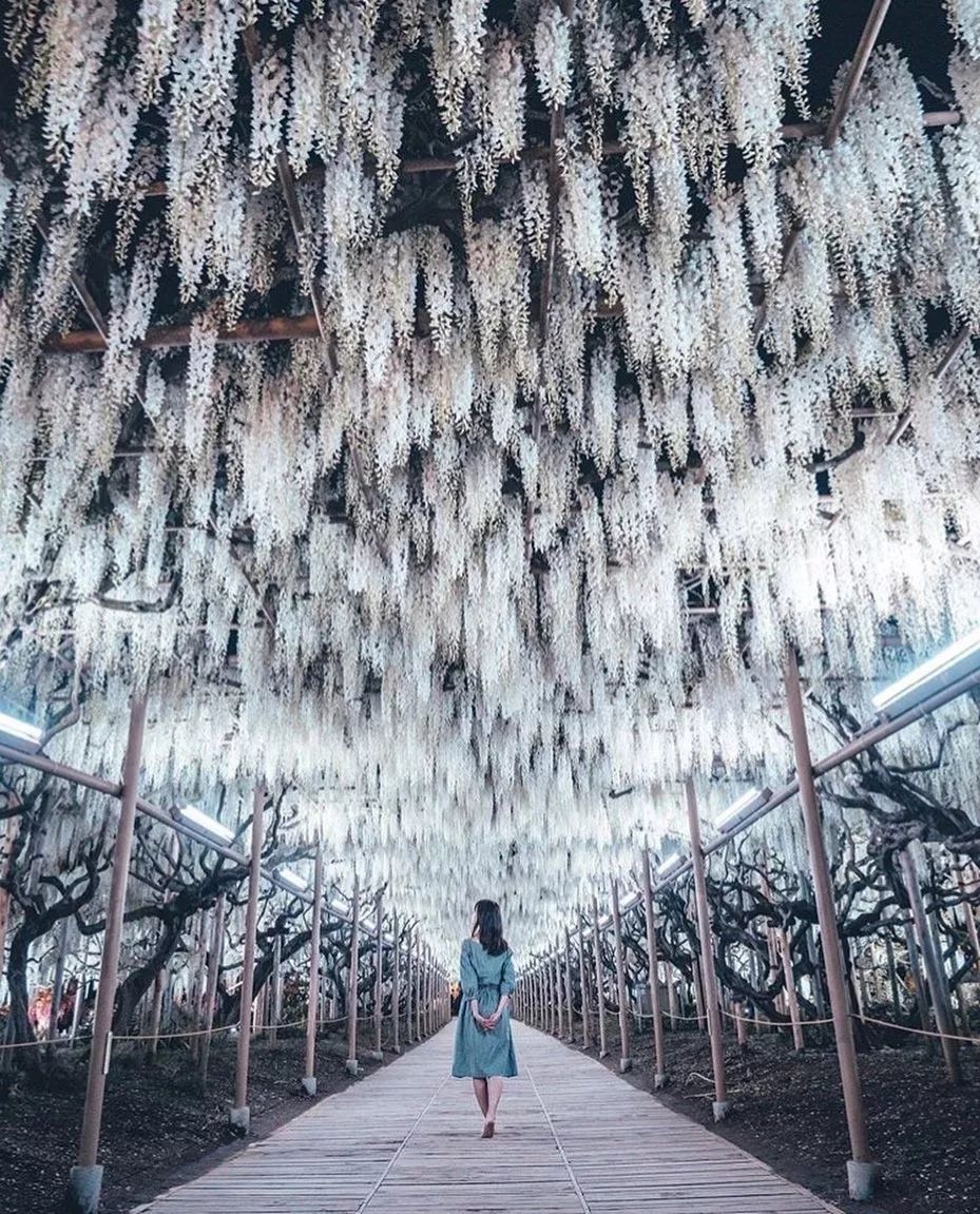 潜派旅行