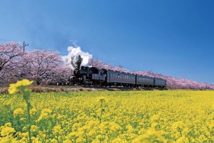潜派旅行