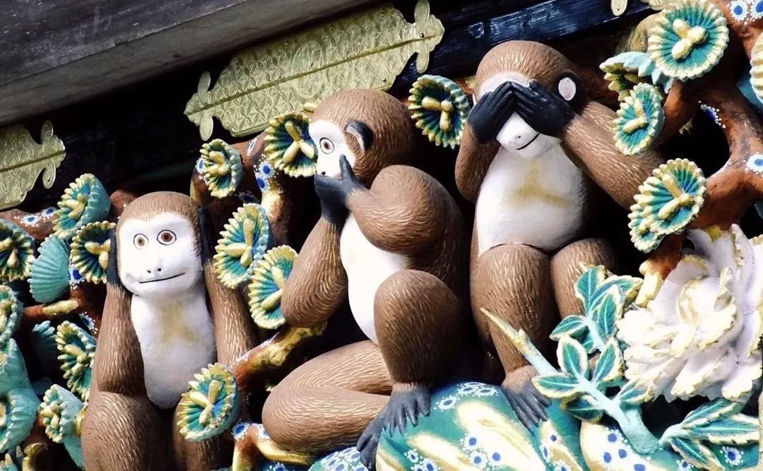 潜派旅行