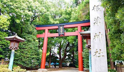 潜派旅行