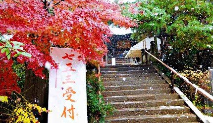 潜派旅行