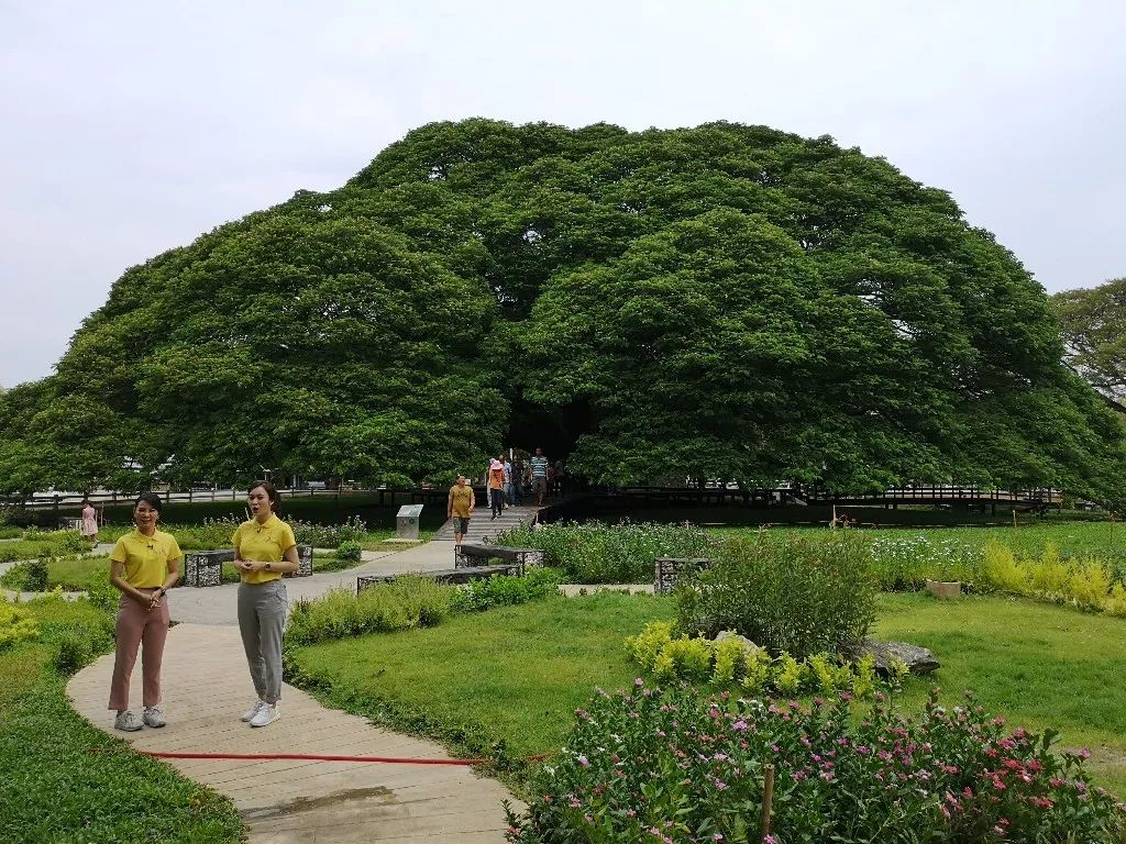 潜派旅行