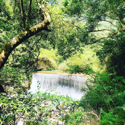 自由行瘋玩台灣