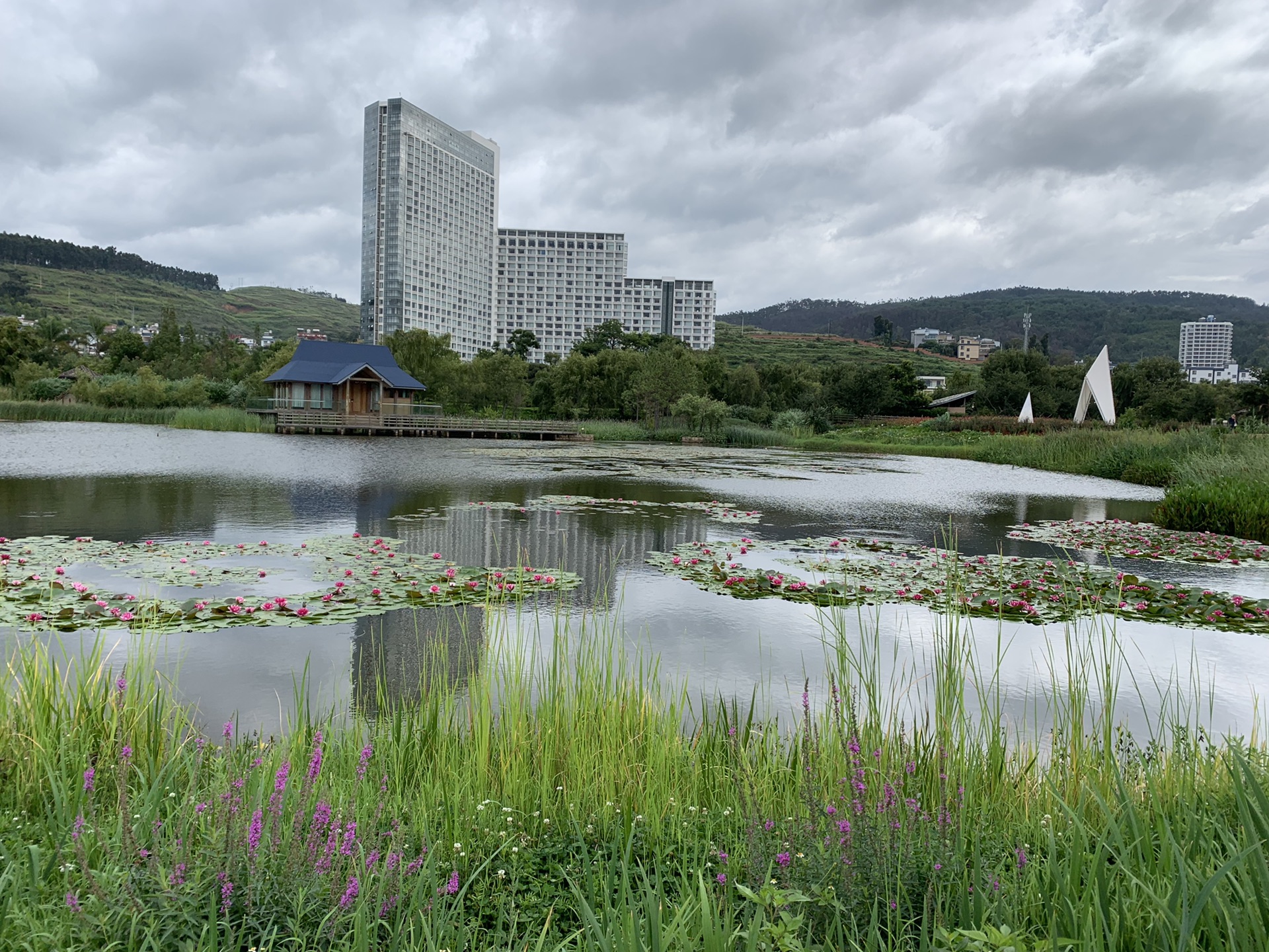 周末抚仙湖之一樱花谷外湖边与月亮湾湿地公园