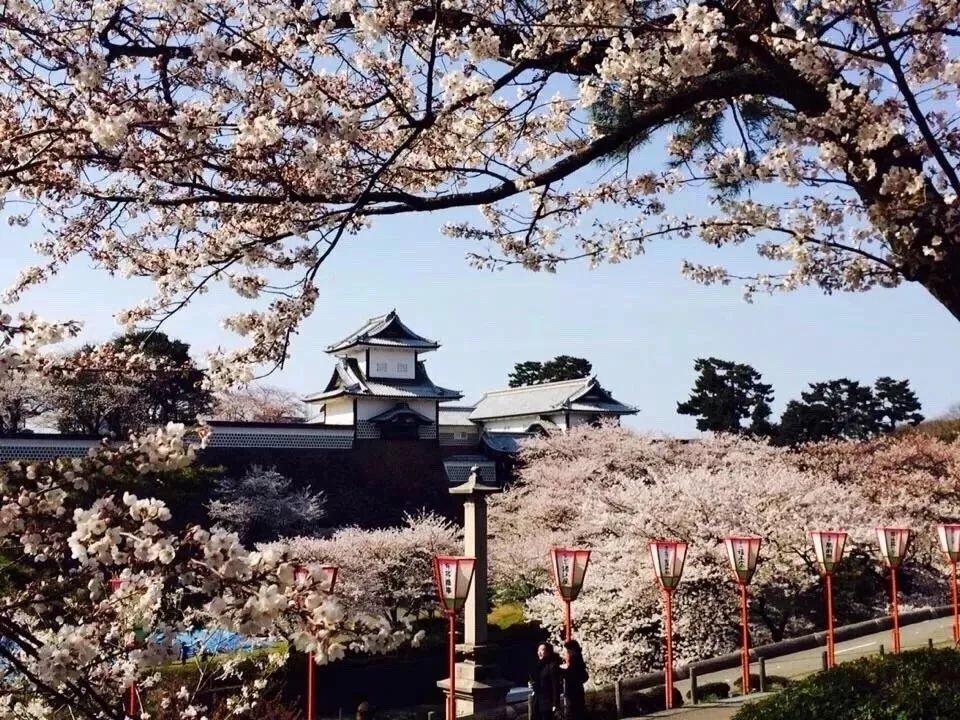 潜派旅行