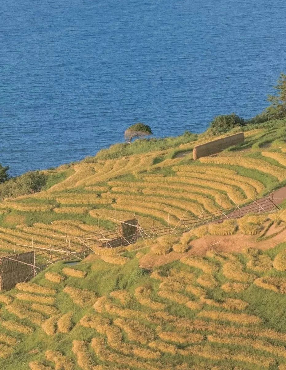 潜派旅行