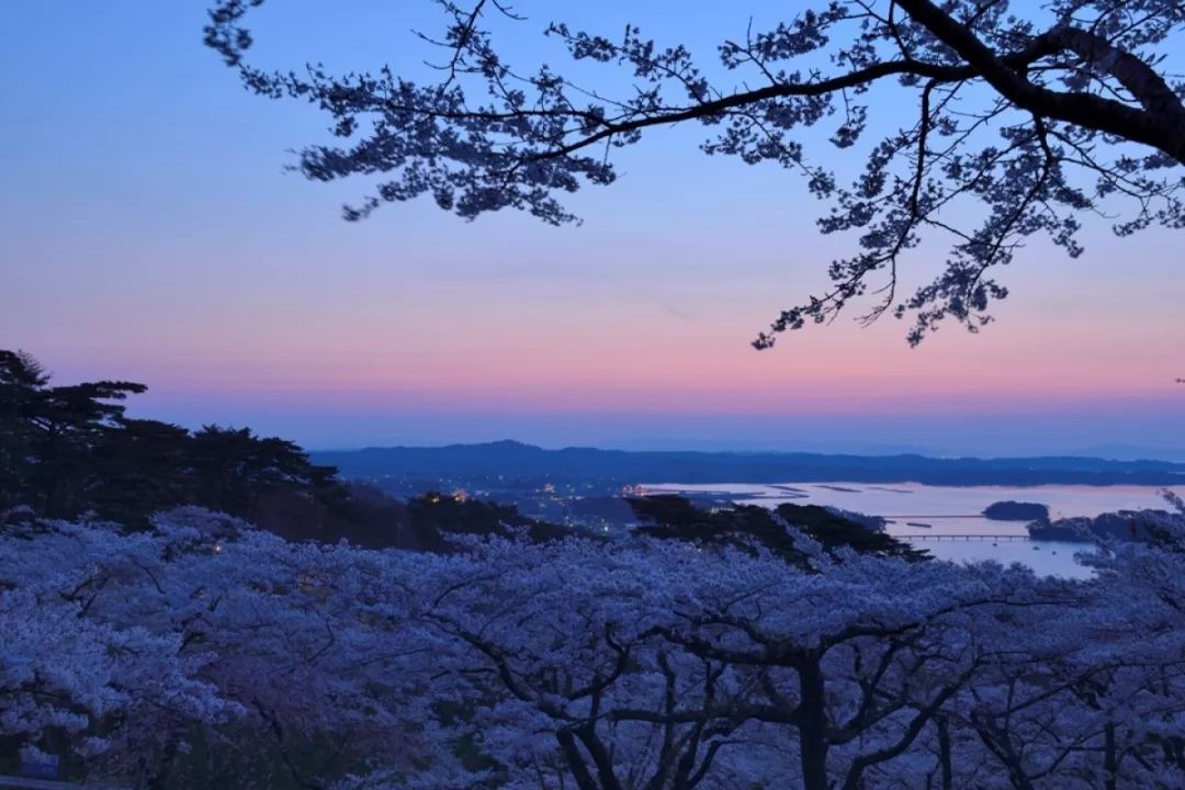 潜派旅行