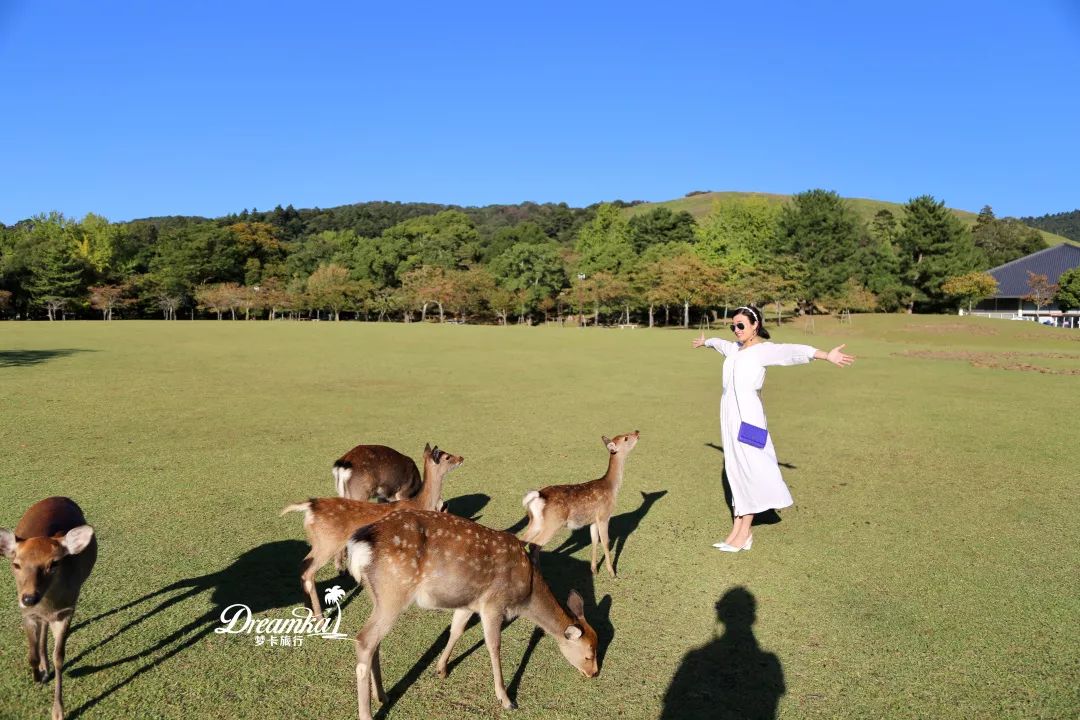 潜派旅行