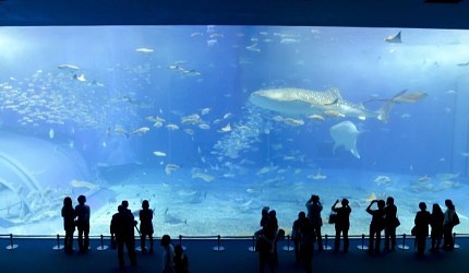 潜派旅行