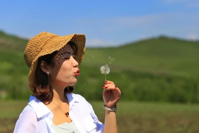 6月最美的季节去草原————满山野花的呼伦贝...