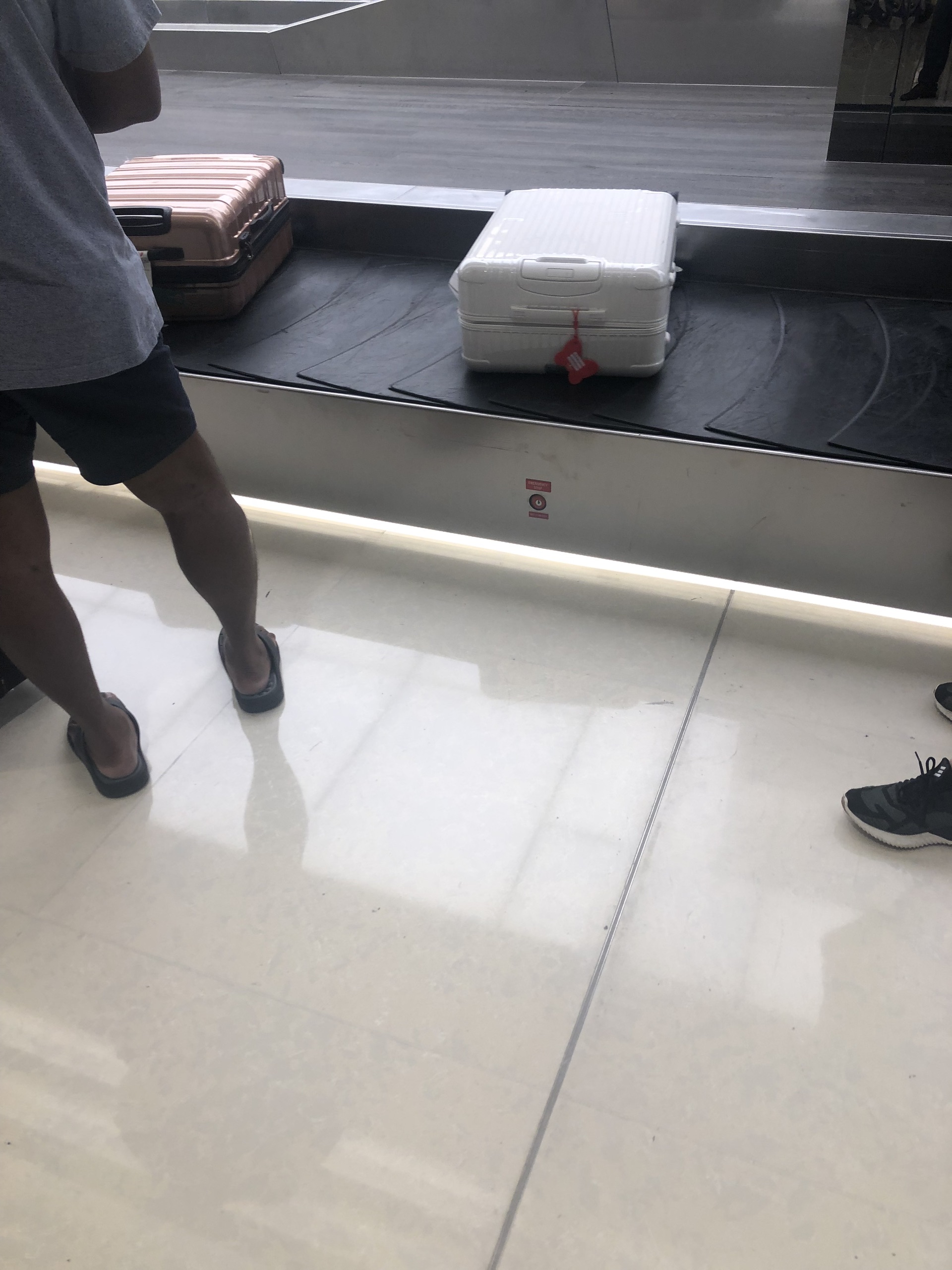 新加坡美食-shake shack