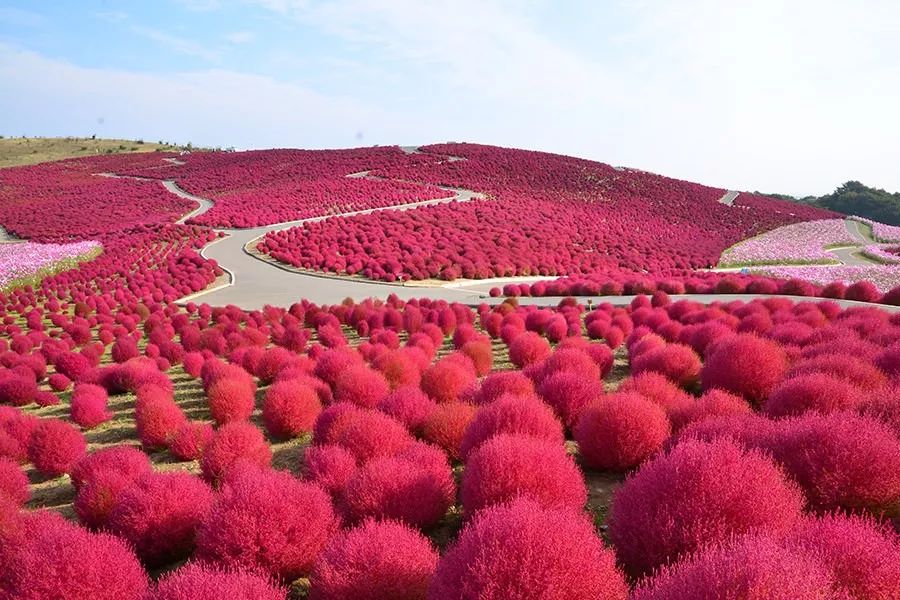 潜派旅行