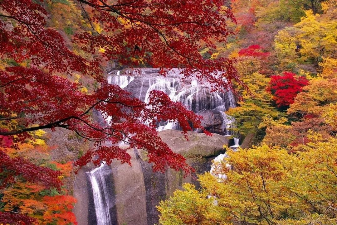 潜派旅行