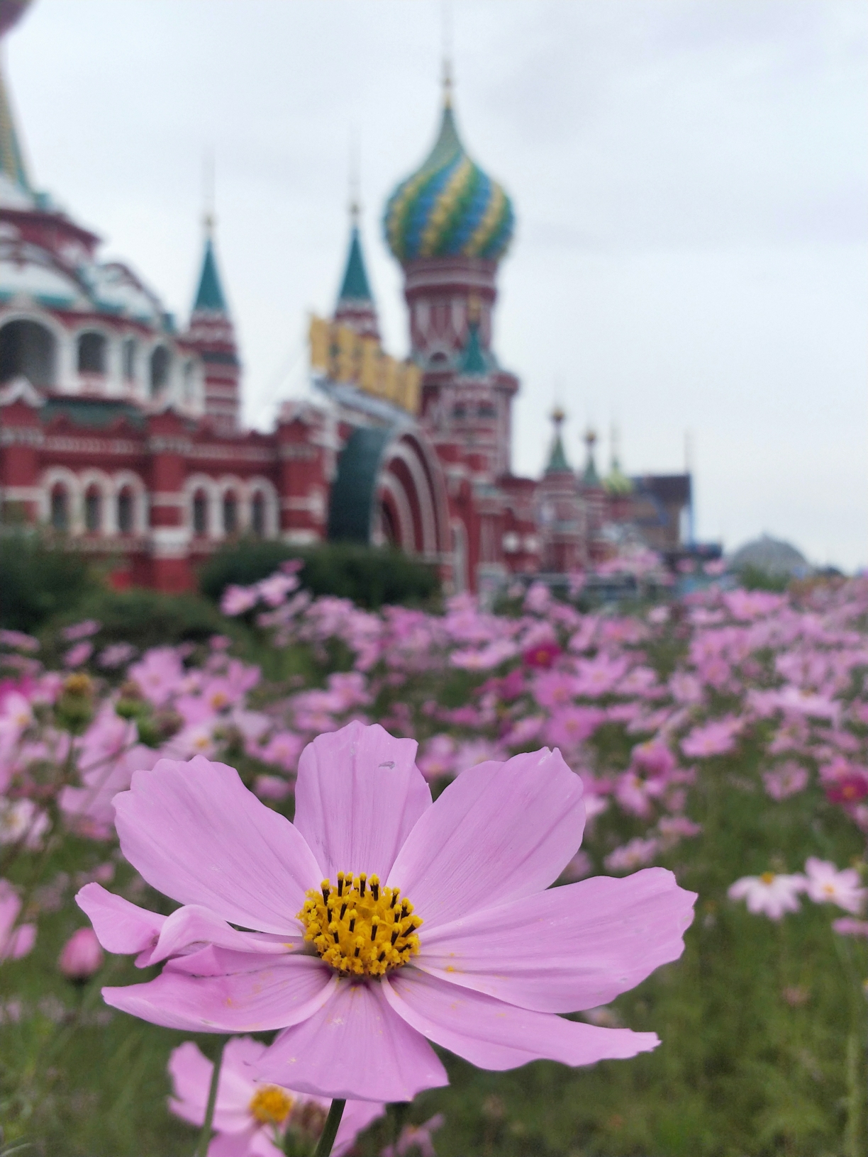 人间天堂——呼伦贝尔五天四夜之行_游记