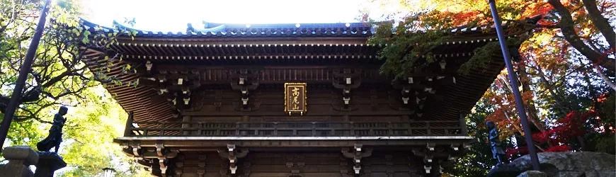 潜派旅行