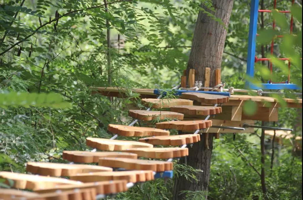 微信图片_20180806163854