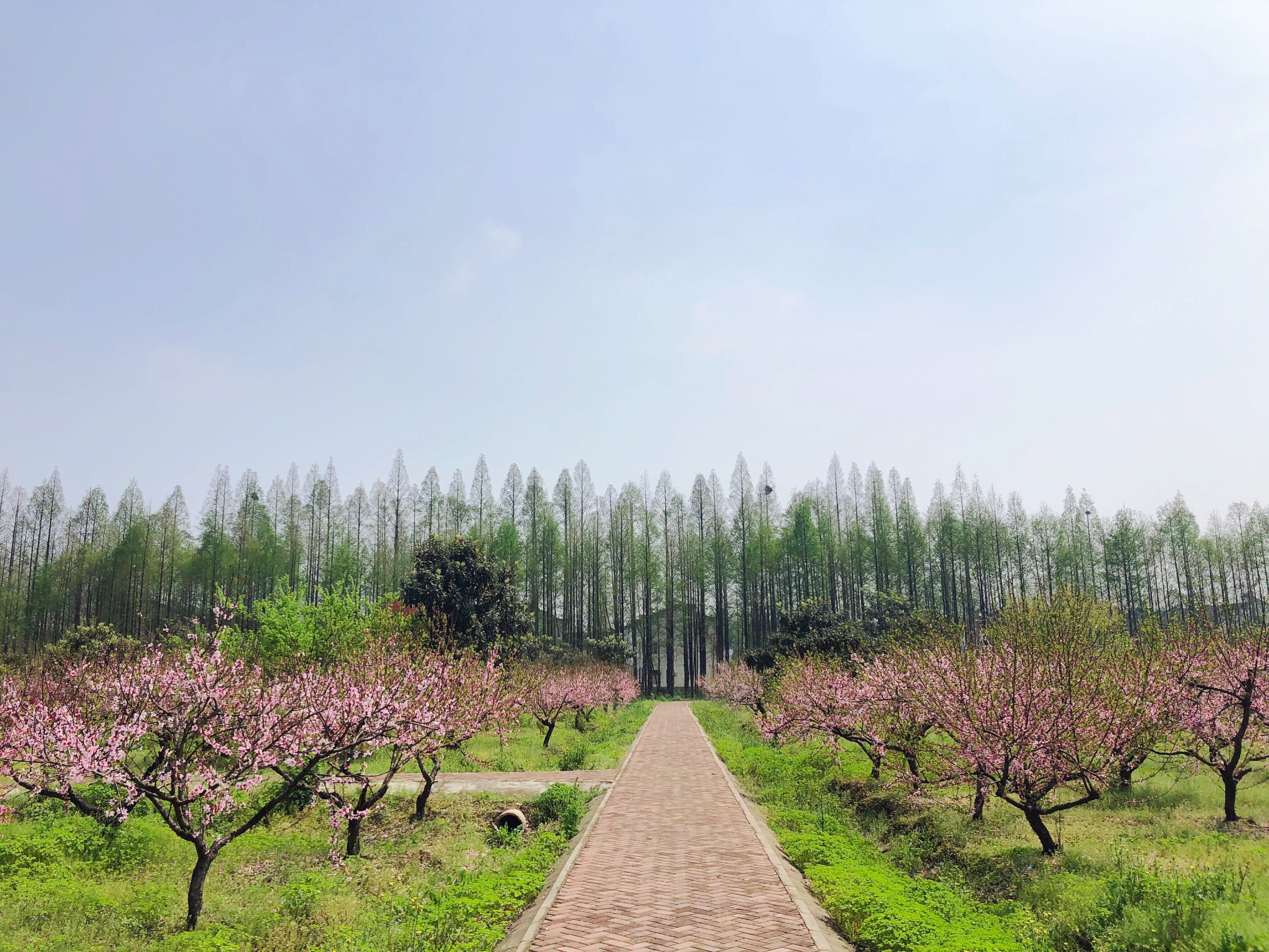 东西湖区旅游图片