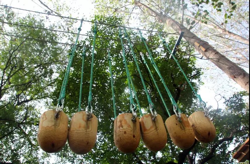 岚瑞丛林穿越09