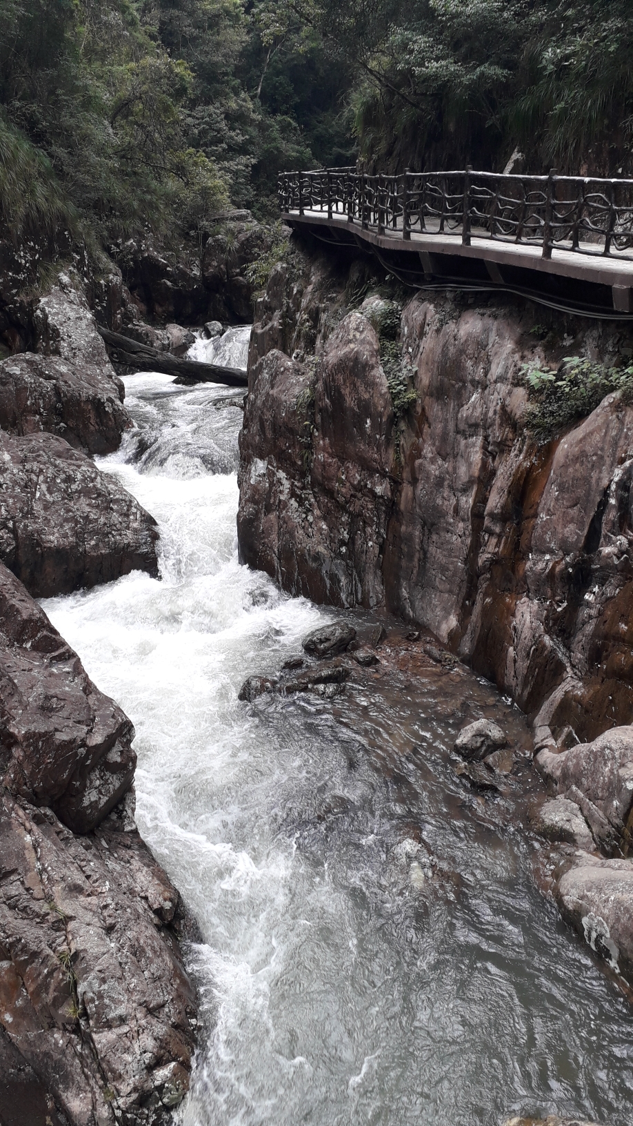 江西赣州安远县三百山图片锦集,安远旅游攻略 - 马蜂窝