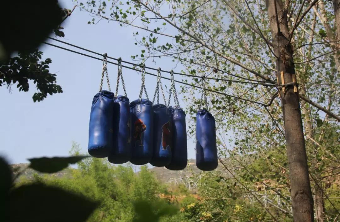 岚瑞丛林穿越003