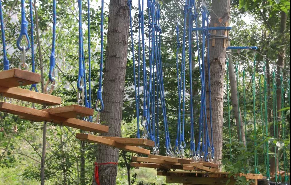 微信图片_20210707075002