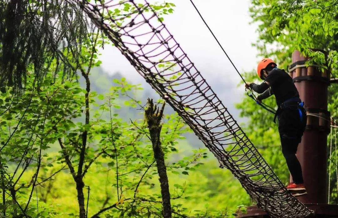 岚瑞丛林穿越11