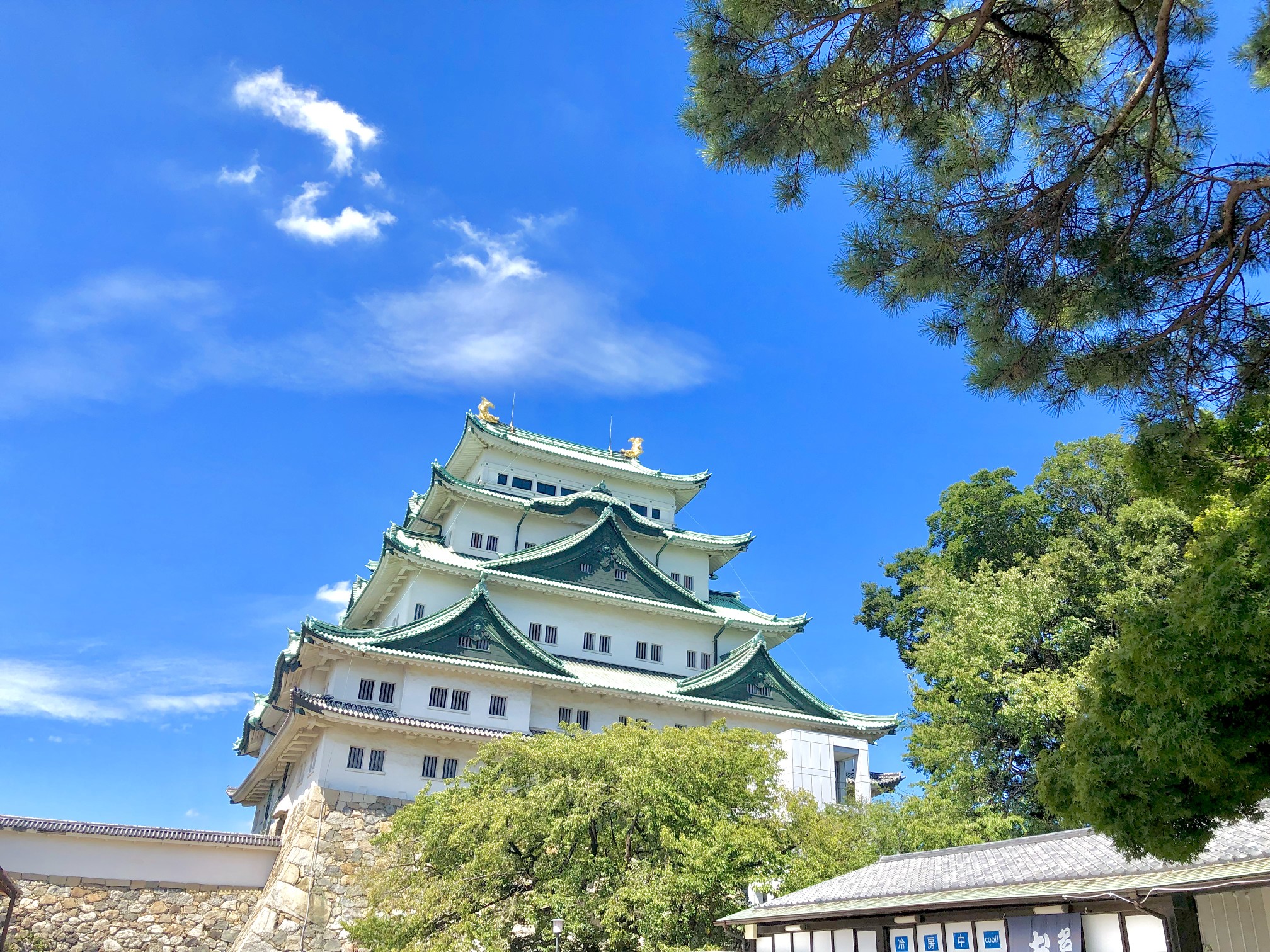 日本东海道本线12日城乡游 (名古屋-静冈-伊豆-东京)