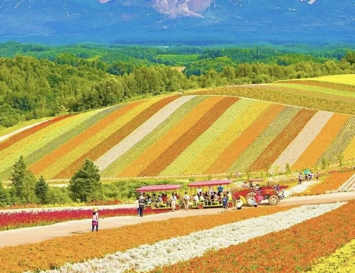 潜派旅行