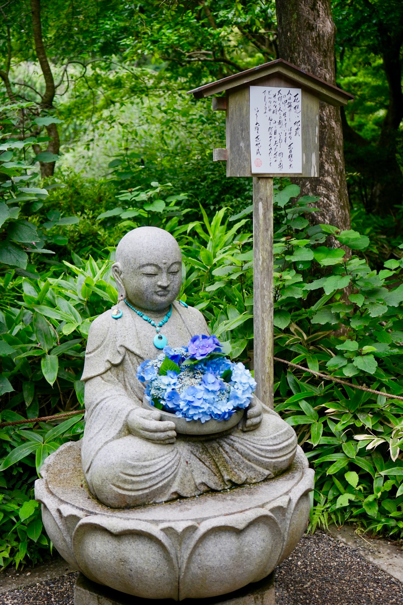 潜派旅行