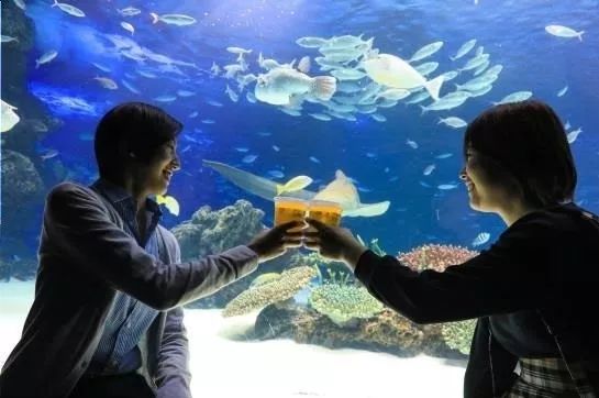 潜派旅行
