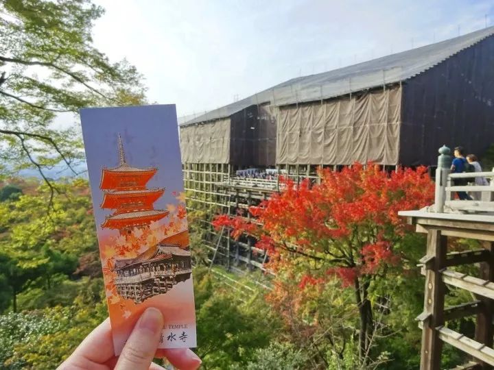 潜派旅行