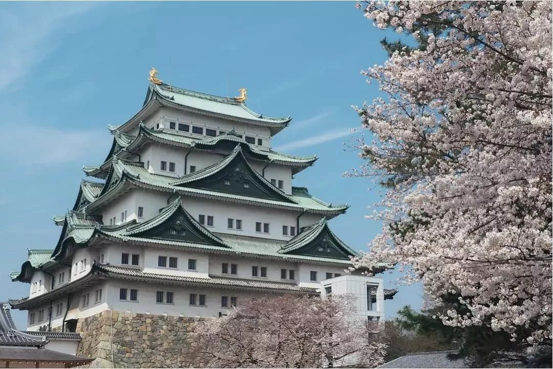 潜派旅行