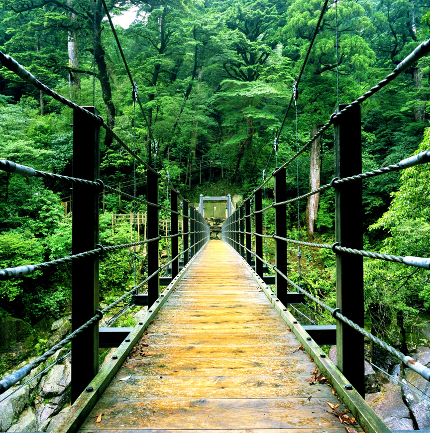 潜派旅行