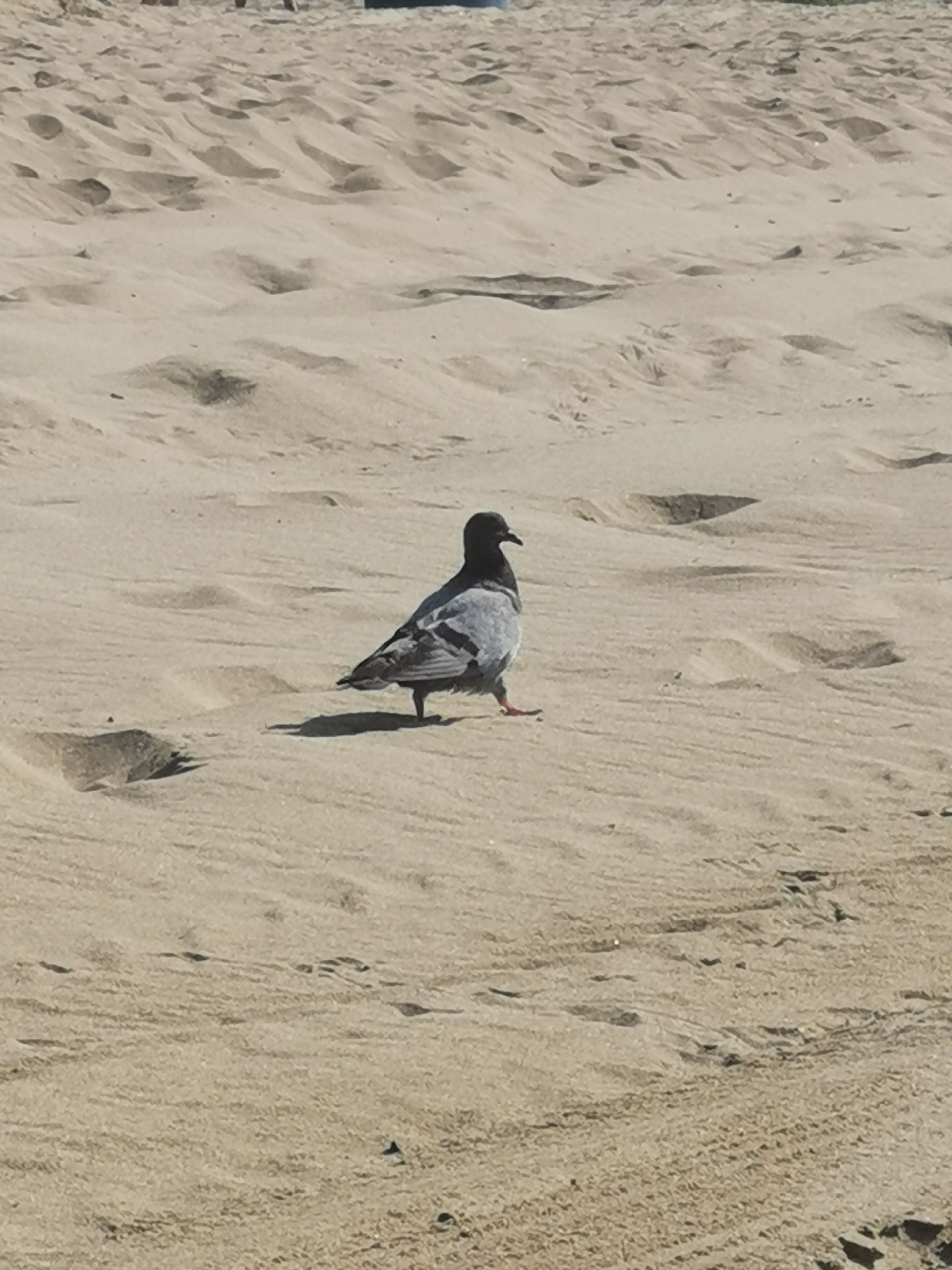 巴塞罗那娱乐-Platja de Gava