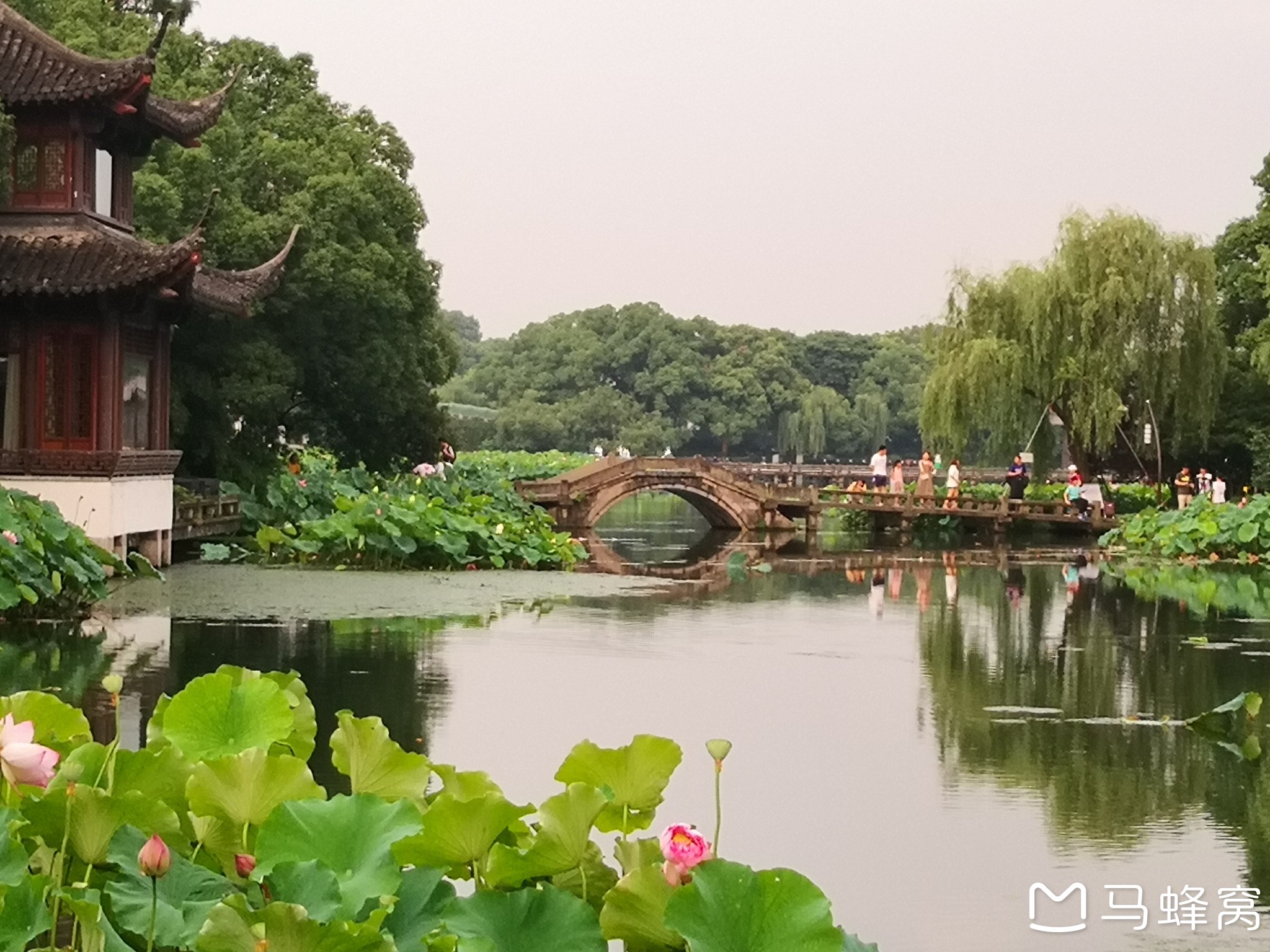 杭州西湖风景名胜区-曲院风荷   