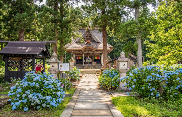 潜派旅行