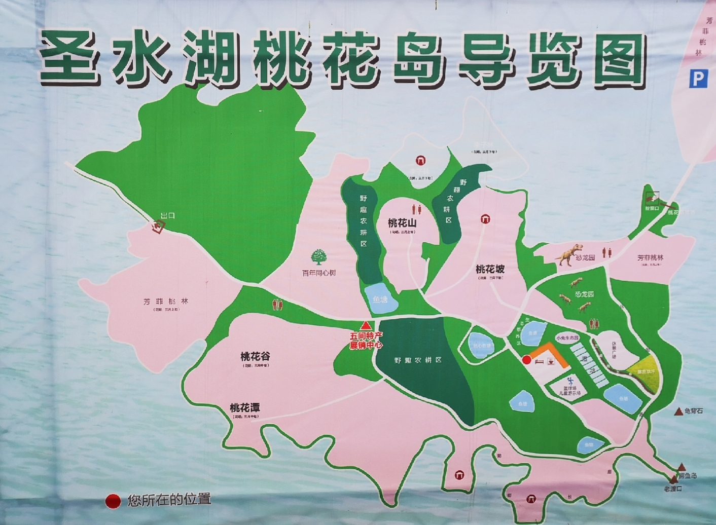 桃花岛上桃花朵朵开——xj游永川桃花岛