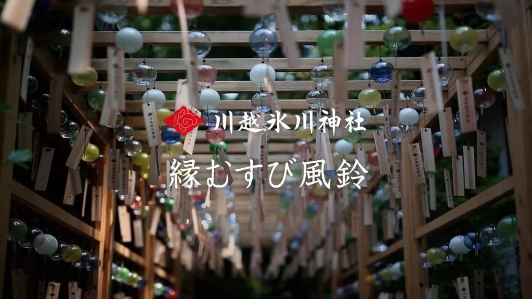 潜派旅行
