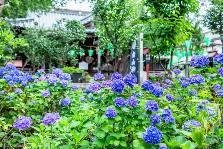潜派旅行