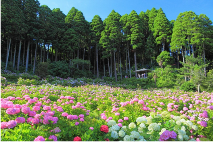 潜派旅行