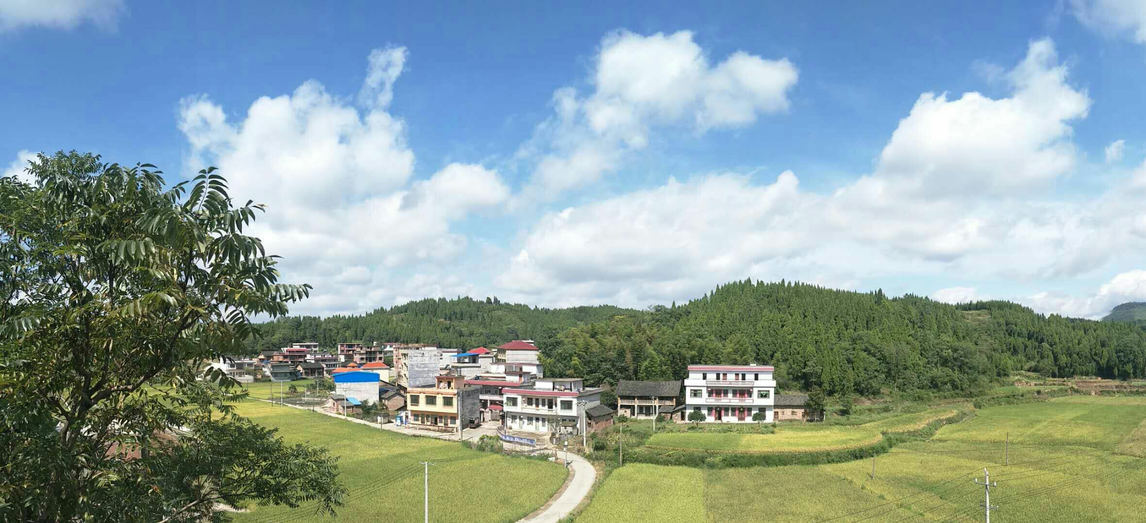 湾田村
