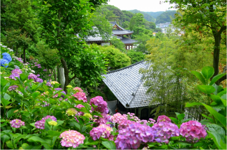 潜派旅行