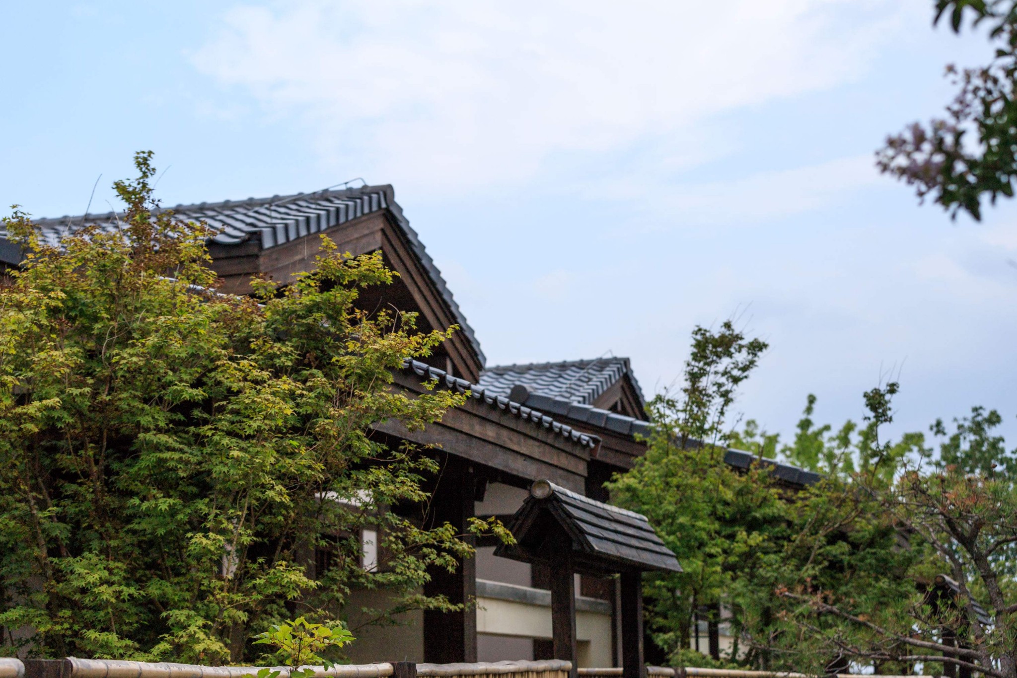 庄园里汤池小院|只想与你匿于山水深处的日式小...